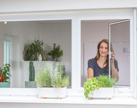 Insektenschutz 2 Drehfenster