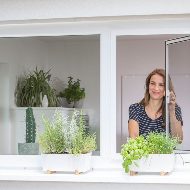 Insektenschutz 13 Drehfenster