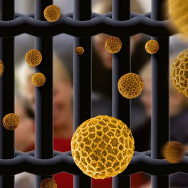 Insektenschutz 21 Pendeltür Verschluss